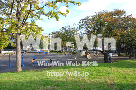 富士見公園の写真素材 W-002681