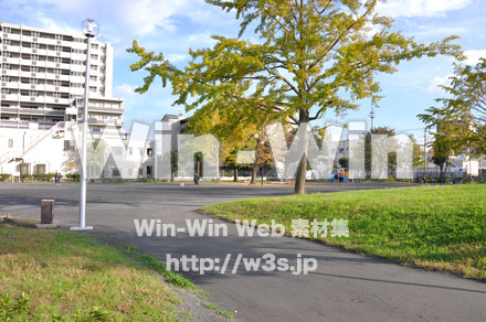 富士見公園の写真素材 W-002685