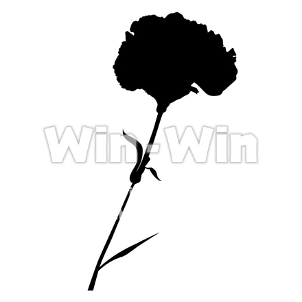 カーネーション1のシルエット素材 W-002913