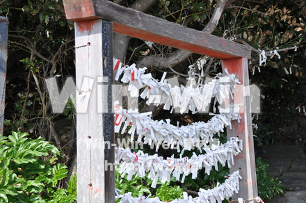 雄島の写真素材 W-002415