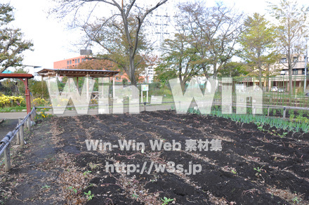 はぐくみの里の写真素材 W-002694