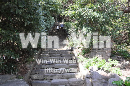 雄島の写真素材 W-002453