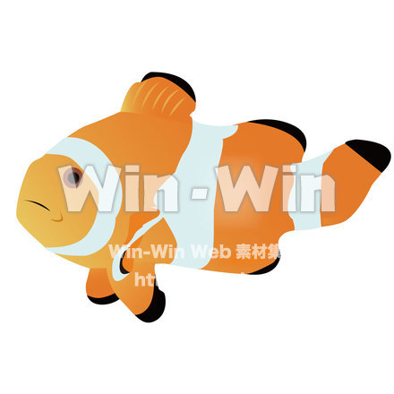 クマノミのCG・イラスト素材 W-002302