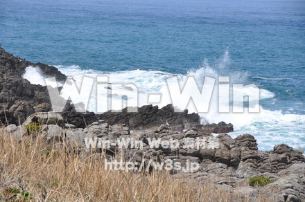 雄島の写真素材 W-002431