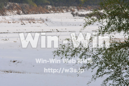 雪景色の写真素材 W-002599