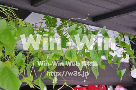 飛騨高山の写真素材 W-002352