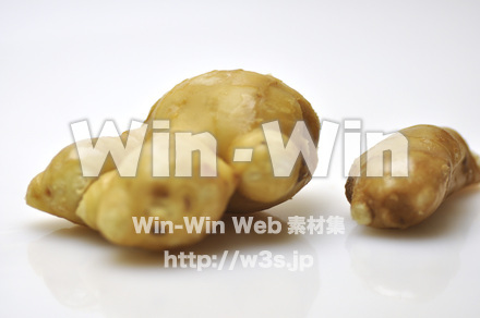 根ショウガ　９の写真素材 W-002236