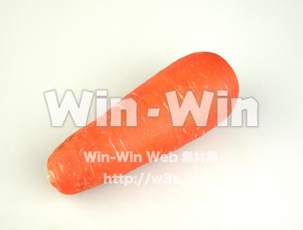 人参　２の写真素材 W-002245