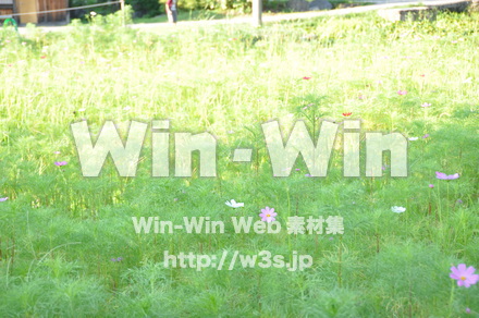 白川郷の写真素材 W-002020