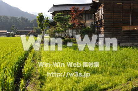 白川郷の写真素材 W-002025