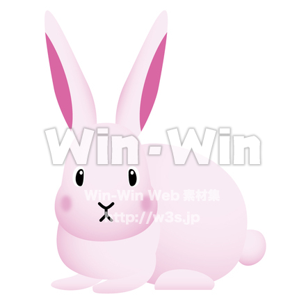 ウサギのCG・イラスト素材 W-003606