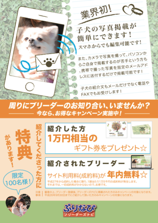 ブリーダーズナビ A5チラシ(裏) D-002735 のチラシ