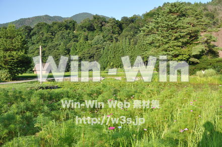 白川郷の写真素材 W-002018