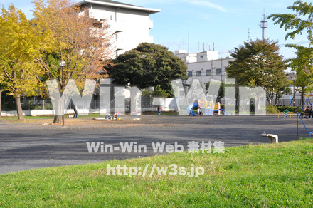 富士見公園の写真素材 W-002684