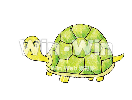 亀のイラストのCG・イラスト素材 W-003499