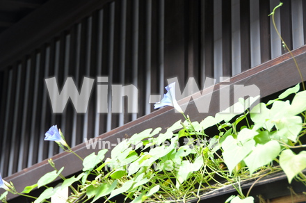 飛騨高山の写真素材 W-002349