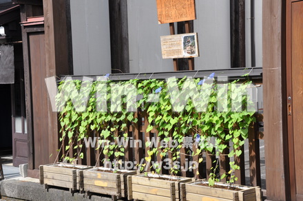 飛騨高山の写真素材 W-002342