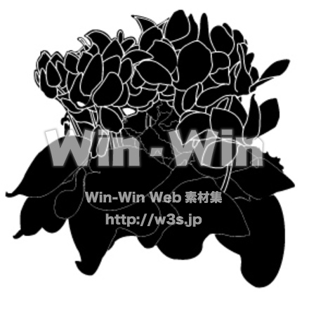 シクラメンのシルエット素材 W-003086