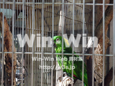 夢見ヶ崎動物公園の写真素材 W-002883