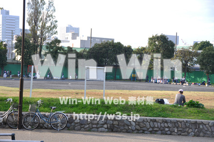 富士見公園の写真素材 W-002678