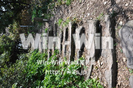 雄島の写真素材 W-002445