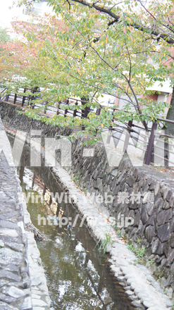 二ヶ領用水の写真素材 W-002776