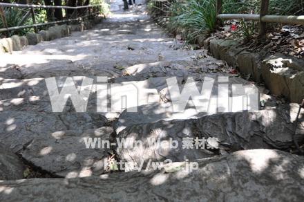 雄島の写真素材 W-002451