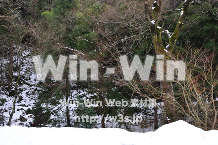 雪景色の写真素材 W-002601