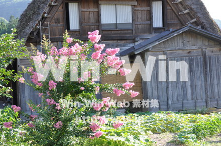 白川郷の写真素材 W-002004