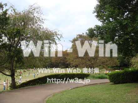 王禅寺ふるさと公園06の写真素材 W-002793