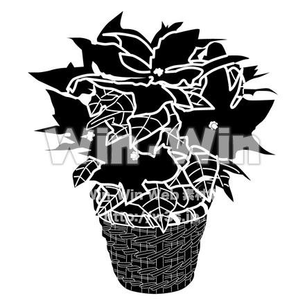 ポインセチアのシルエット素材 W-002389