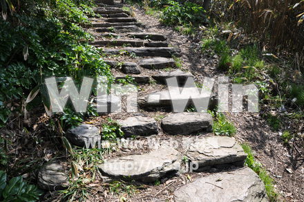 雄島の写真素材 W-002444