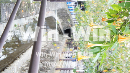 二ヶ領用水の写真素材 W-002770