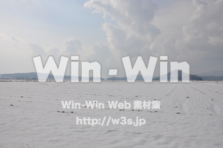 雪景色の写真素材 W-002615