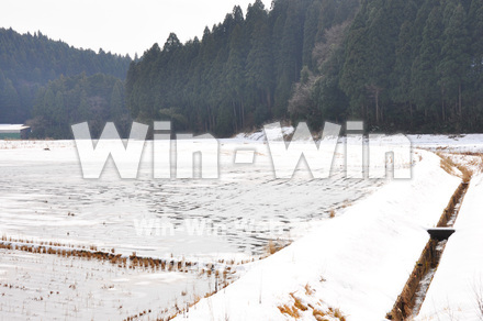 雪景色の写真素材 W-002608