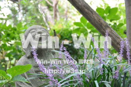 浄慶寺06の写真素材 W-002500