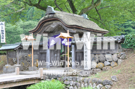 一乗谷朝倉氏遺跡の写真素材 W-002281