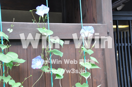 飛騨高山の写真素材 W-002354