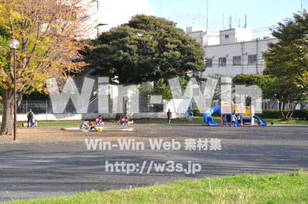 富士見公園の写真素材 W-002683