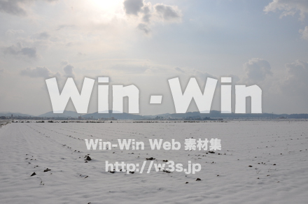 雪景色の写真素材 W-002616