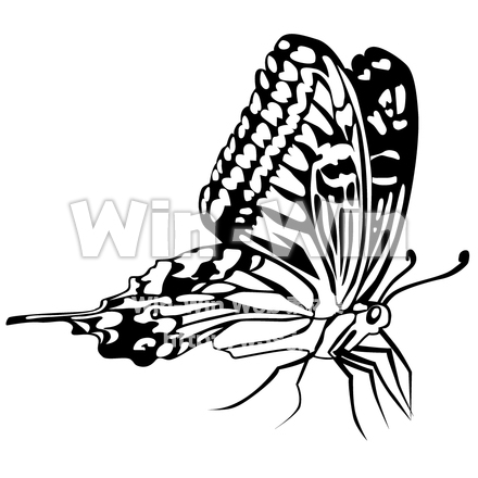 アゲハチョウのシルエット素材 W-002899