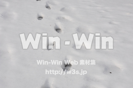 雪景色の写真素材 W-002606