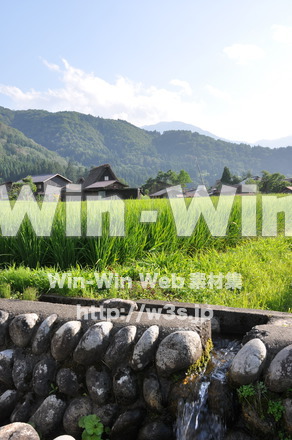 白川郷の写真素材 W-002033