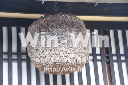 飛騨高山の写真素材 W-002343