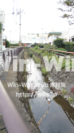 二ヶ領用水の写真素材 W-002810