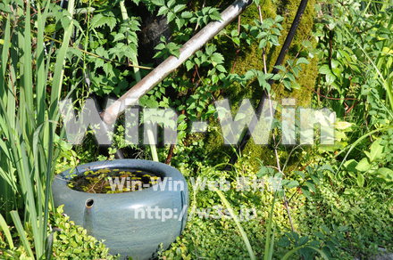 白川郷の写真素材 W-002017