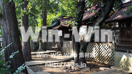 神社の写真素材 W-002067