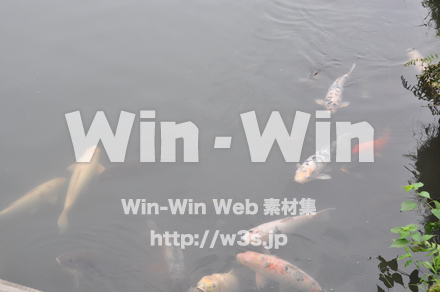 一乗谷朝倉氏遺跡の写真素材 W-002279