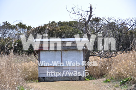 雄島の写真素材 W-002443