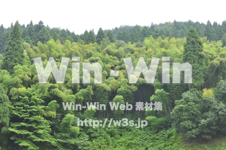 一乗谷朝倉氏遺跡の写真素材 W-002278